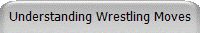 Understanding Wrestling Moves